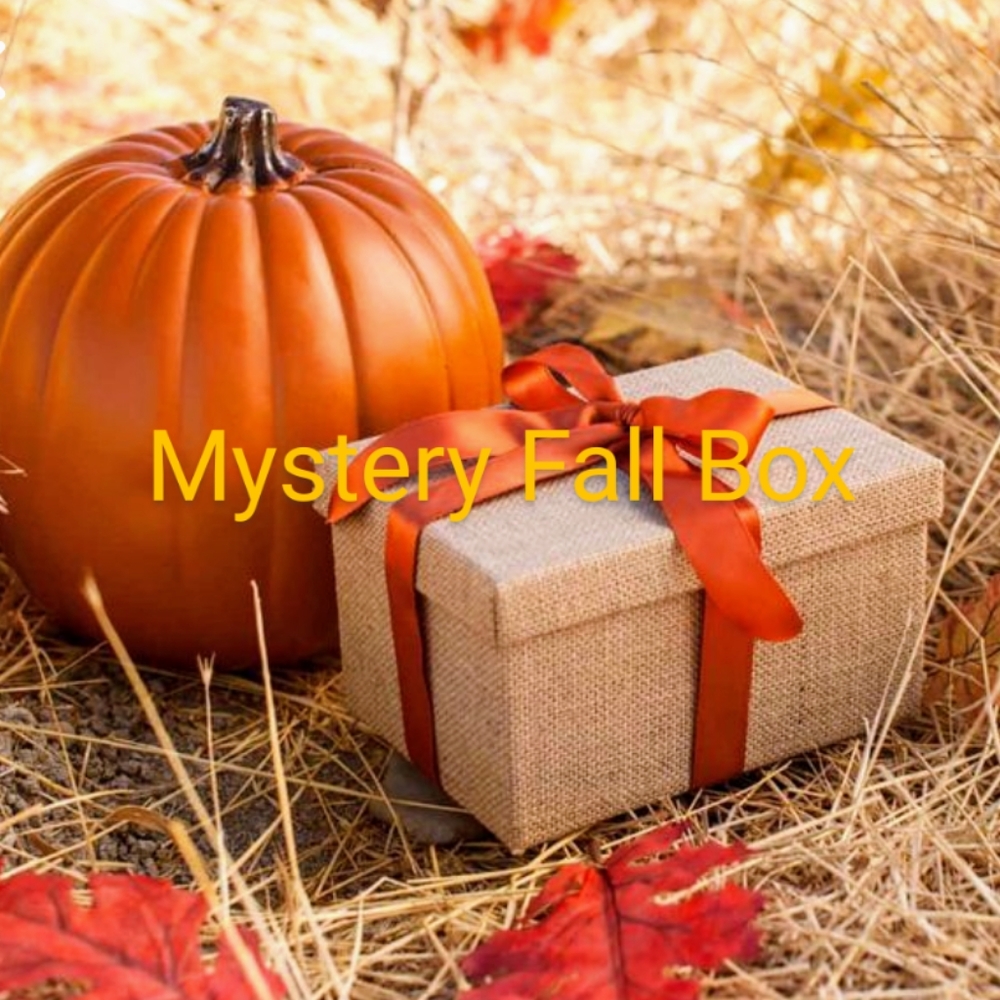 Mystery Fall Outfit Box